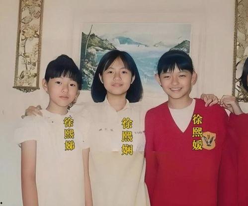 徐家姐妹爆料视频,揭秘幕后的惊人真相  第1张